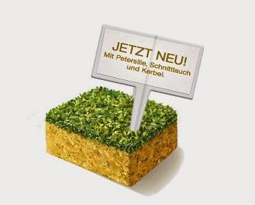 Maggi Blogger-Event: Produktvorstellung