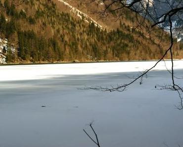 [365/76] – Leopoldsteinersee