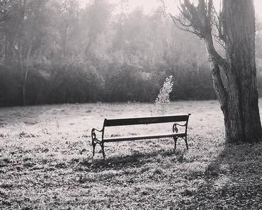 Notbremse und ein Gang zurück