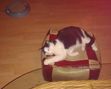 Die Sache mit dem Schein...