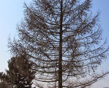 Stress und Idylle ganz nah beisammen