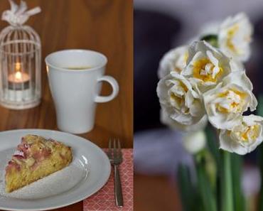 Rhababerkuchen mit weißen Schokostücken