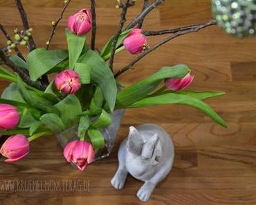 Tulpen gehen immer! [view down]