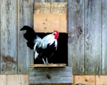 Frohe Ostern mit den Coolen Blogbeiträgen 13/15