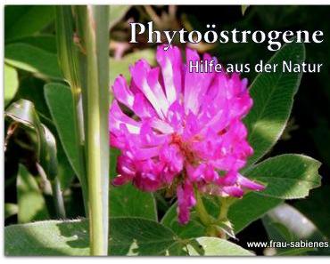 Phytoöstrogene – Hilfe aus der Natur in den Wechseljahren