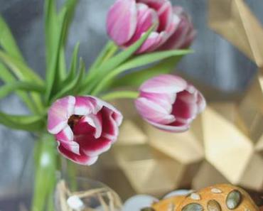 Ostereier Bagel für einen perfekten Osterbrunch