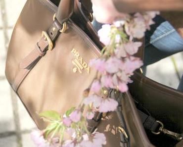 {Outfit} Braune Lederjacke im Kirschblütenfeld