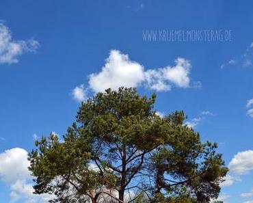 WatteWölkchenWetter [in heaven]