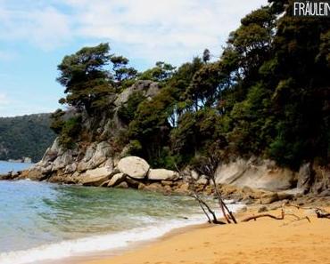 Eine kulinarische Entdeckungsreise – kommt mit mir nach Neuseeland!