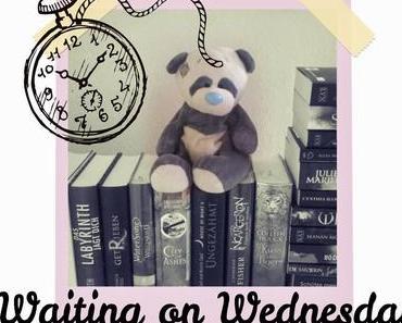 Waiting on Wednesday #47