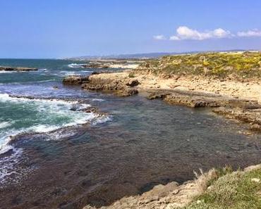Besuch im blühenden Israel