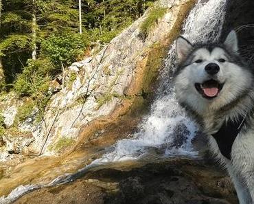 Seelennahrung - Trau dich! Über die Kunst den ersten Schritt zu tun!