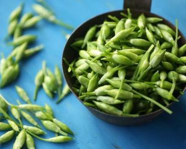 Eingelegte Bärlauchknospen: Eine Delikatesse direkt vor der Haustür