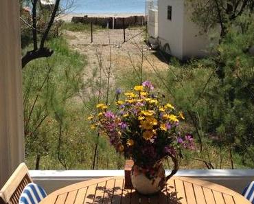 Die Sonnenterrasse ist eröffnet