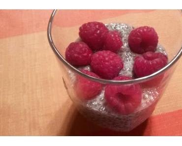 Einfacher Overnight Chia Pudding (vegan)