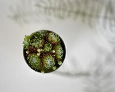 Urban Jungle Bloggers: Green Gift