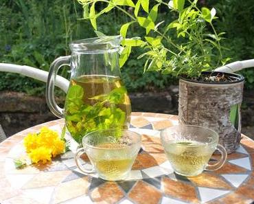Ein Tag im Garten mit Minz-Zitronenverbene-Tee