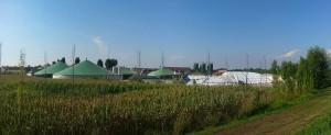 Biogas-Anlagenbetreiber verzeichnen Verluste in Millionenhöhe durch EEG Reform 2014