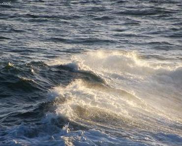 We're different and the same - von Polarlichtern und Dementoren