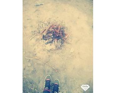 Freitagsfüller #322