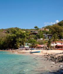 Traumziel Antillen: MSC SPECIALS inklusive Flug und Getränkepaket